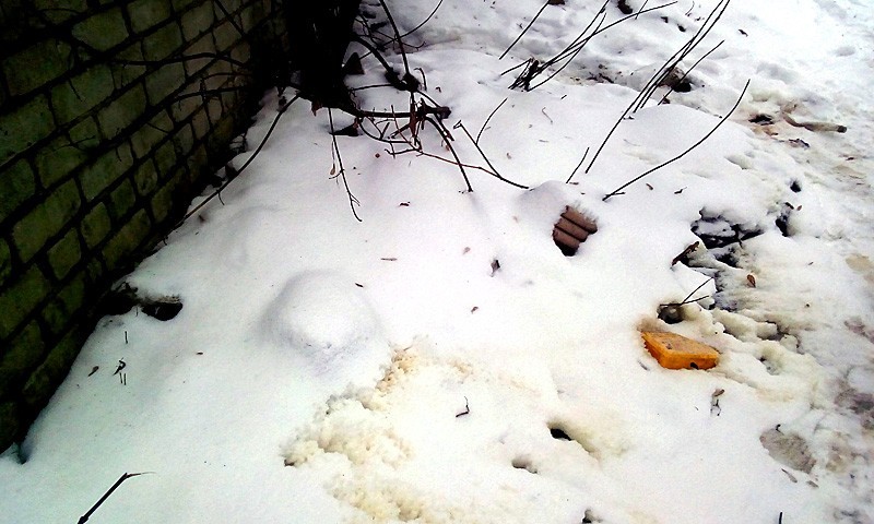 В г. Кимры рядом с местом возгорания даже снег с желтыми разводами остался нетронутым.