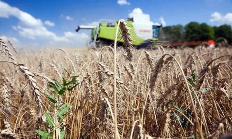 В Тверской области расширяются возможности для получения государственной поддержки сельхозпроизводителями