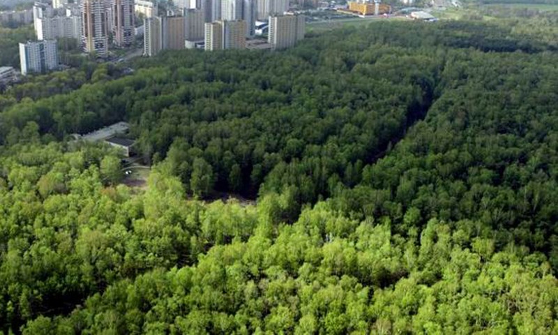 В Твери пройдут общественные слушания о создании лесопаркового зелёного пояса города