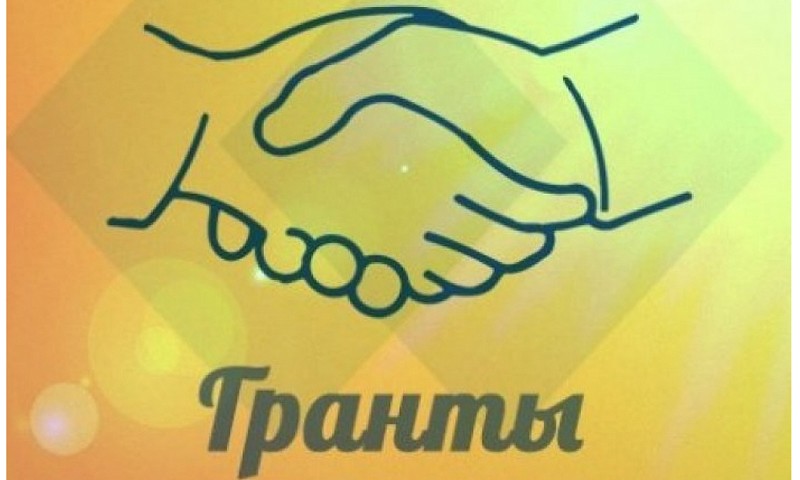 Волонтёры Тверской области могут выиграть грант до 2 млн рублей на реализацию своих проектов