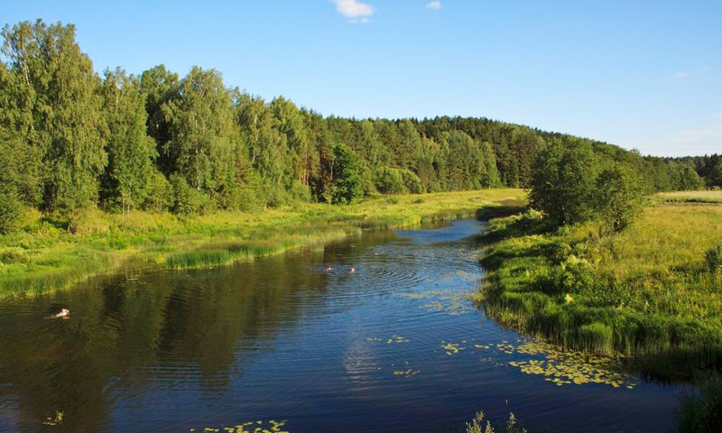 В Тверской области утверждены новые особо охраняемые природные территории
