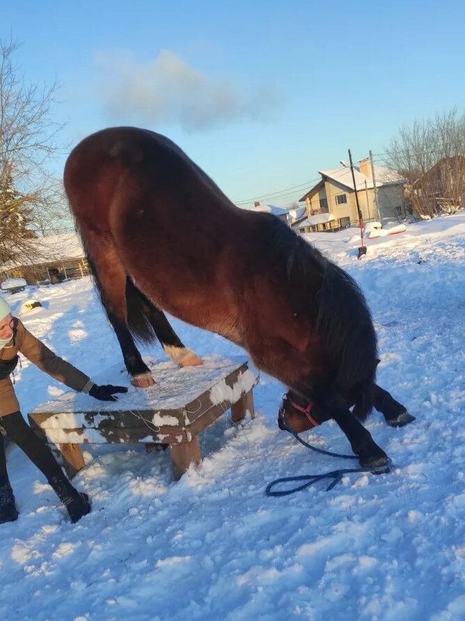 mamye0bywz k5atbyuuwz