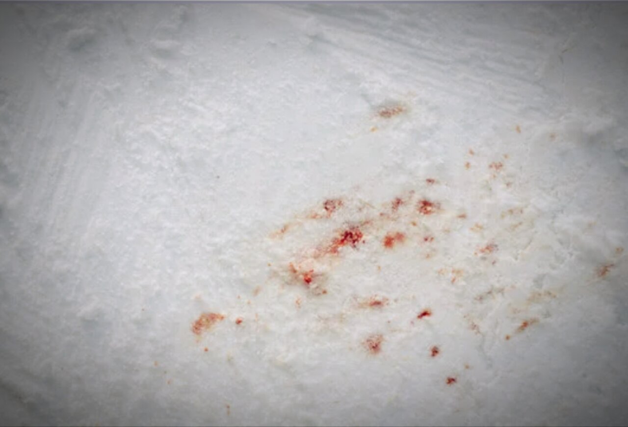 vrz722k69s bz391qqmn0